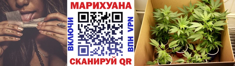 Каннабис OG Kush  Среднеколымск 